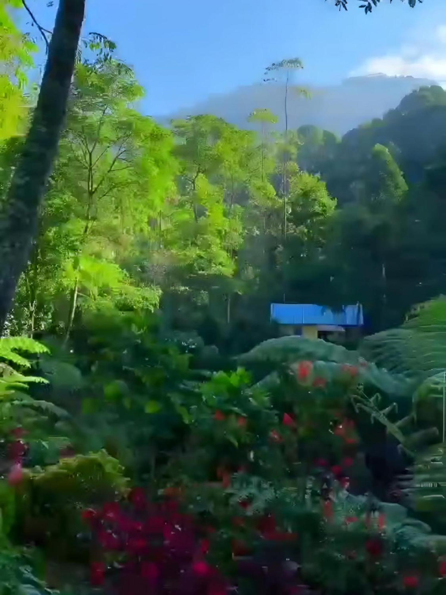 Penginapan Nuansa Riung Gunung Hotel Pangalengan Екстериор снимка